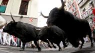 Первые погони с быками в Памплоне наверняка надолго запомнятся тем смельчакам, которые решили встретиться с разъяренными животными